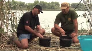 La crap cu Doctor Fishing-Pe Dunarea Veche 3