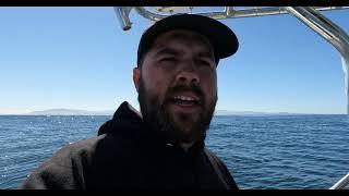 2 Miles out of Moss landing, Ca Whale Watching