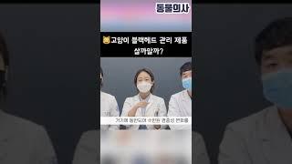 수의사들은 절대 안 사는 고양이 아이템 | 동물의사 Animal Doctor