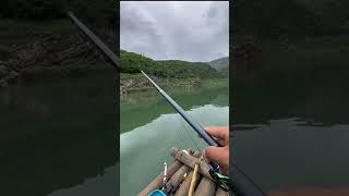 Quá phê khi trạm mặt- L.T FISHING OFFICIAL