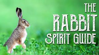 Rabbit Spirit Guide - Ask the Spirit Guides Oracle - Totem Animal, Power Animal - Magical Crafting