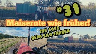 Maisernte wie in alten Zeiten? | IHC 1055 100PS vor HaWe Silagewagen | Maisernte 2022 |