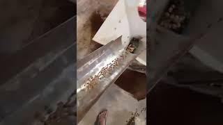 Soya badi operator and fitter