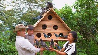 A kind man has feelings for Ly Tu Ca: helps a single mother build a pigeon coop  - ly tu ca