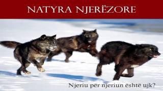 Blendi Salaj: about EMPATHY