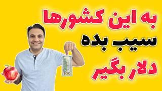 صادرات سیب درختی | درآمد دلاری با فروش سیب درختی