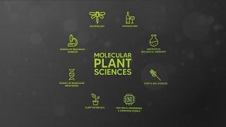 WSU Molecular Plant Sciences: Virtual Facility Tour