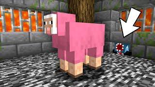 Stealing Minecraft's Most Secure Sheep