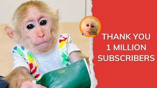 Monkey Bibi Wonderful Journey: Thank you 1 Million Fans | Bibi's House