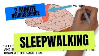 2-Minute Neuroscience: Sleepwalking