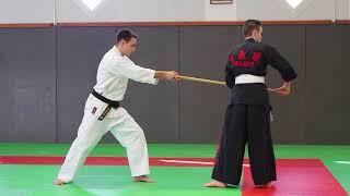 The Seishin Tanren dojo in 30 secs