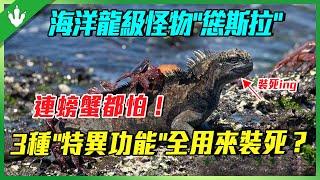 擁有特意功能的海洋龍級怪物"慫斯拉"！自稱是特斯拉兄弟，卻想不到是個慫包？