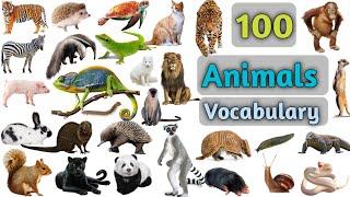 Animals Vocabulary In English ll 100 Animals Name In English With Pictures