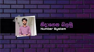 නිදාගෙන බලමු | Number System II | OL