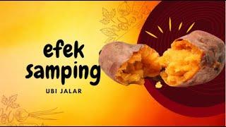 Beginilah Efek Samping mengkonsumsi Ubi Jalar Secara Berlebihan