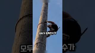 예상 못한 반전! 클라이밍 경기의 충격적인 결말