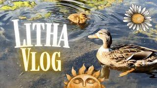 Relaxed Litha Vlog 2025║Reconnecting with Nature, Stonehenge and Tarot