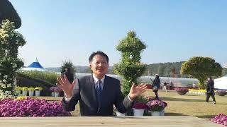 (OTN뉴스)제19회 백제고도 부여국화축제, 부여군농업기슬센터 기술보급과장에게 듣다.