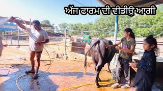 ਅੱਜ ਫਾਰਮ ਦੀ ਵੀਡੀਉ //ਪਿੰਡ ਆਲੂ ਭਰਾਈ ਦਾ ਕੰਮ ਖਤਮ ਹੋ ਗਿਆ//SEERA DHILLON
