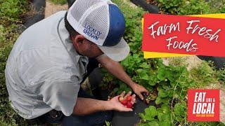 Farm to Table | Eat Like a Local with Chris Shepherd, Ep. 28