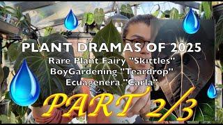 Plant Dramas of 2025 Pt. 2: The 'TEARDROP' DROPPP