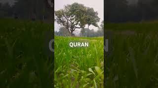 Surah Al Quran Islam video