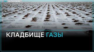 За 8 месяцев Газа стала местом самого массового захоронения в мире