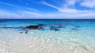 Iguana Island: 4K An Undiscovered Paradise in Panama