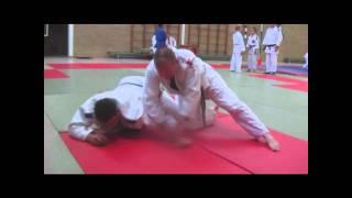 Judo newaza techniques series