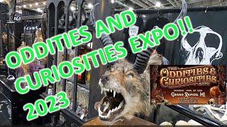 Oddities and Curiosities Expo Grand Rapids MI 2023!