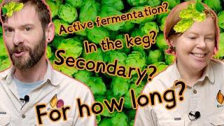 When is the best time to dry hop? | Preventing beer oxidation