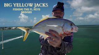 HOW TO catch YELLOW JACKS in cold weather. FISHING the FL KEYS BRIDGES.