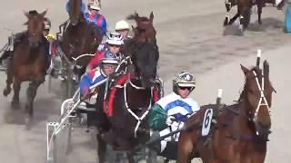 Standardbred Pacing