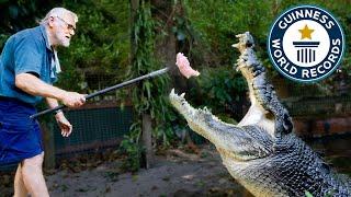 Meet Cassius, World's Largest Crocodile! - Guinness World Records