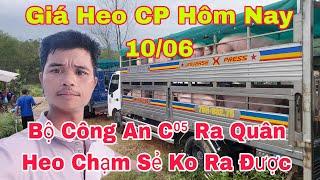 Bộ Công An Sẻ Kiểm Tra Các Cty FDI Chăn Nuôi ( Vốn Nước Ngoài) Ảnh Hưởng Giá Như Thế Nào?