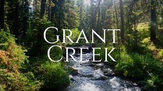 Exploring the Benefits of Living in Grant Creek, Missoula MT