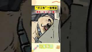 “打工狗”一脸懵逼 网友：让！它！睡！#宠乐园 #轻松一刻 #动物
