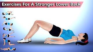 7 Exercises For A Stronger Lower Back | epainassist