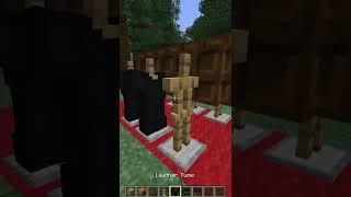 Minecraft Coffin Dance Tutorial!