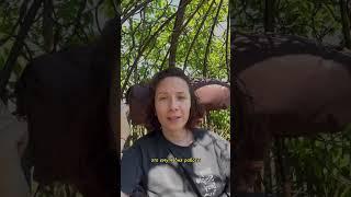 Где искать таргетолога? Как выбрать таргетолога?