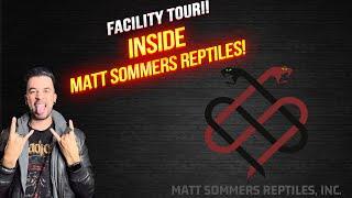 Inside Look at Matt Sommers Reptiles, Inc.!!