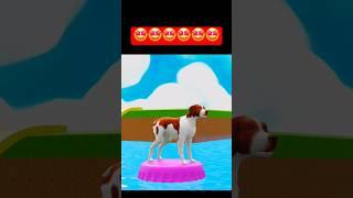 Dog Start Run, Slide, Jumping into Water on Tray #shorts #fun@satrangcg