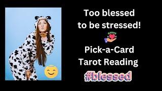 Too blessed to be stressed/Pick-a-Card Tarot Reading🪁️