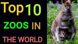 Top 10 zoos in the world #animals #zoos #LoviseConnection