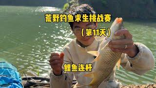 荒野钓鱼求生挑战赛第十一天，终于站起来了！