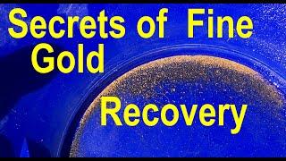 Master Gold Prospector Reveals Best Techniques for Fine Gold Recovery