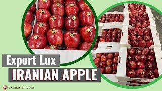 Exporting Iranian Luxe Apple | EXIM Asian International Trading Group