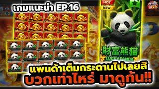 slotxo สล็อตxo เกมแนะนำ EP.16 แพนด้าเต็มกระดานไปเลยสิ บวกเท่าไหร่ มาดูกัน!!