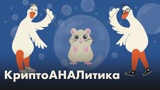 Скам, хомяк и грёзы о децентрализации: во что выродилась крипта и блокчейн