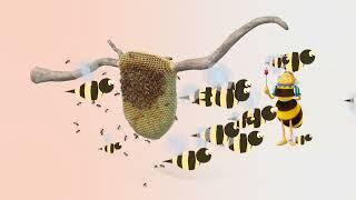 Where do honey bees live?